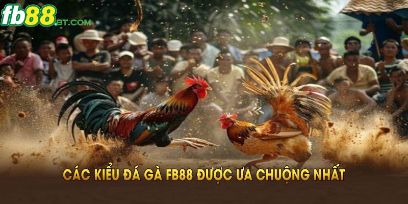 Các kiểu đá gà Fb88 được ưa chuộng nhất bạn nên biết