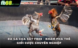 Đá Gà Cựa Sắt