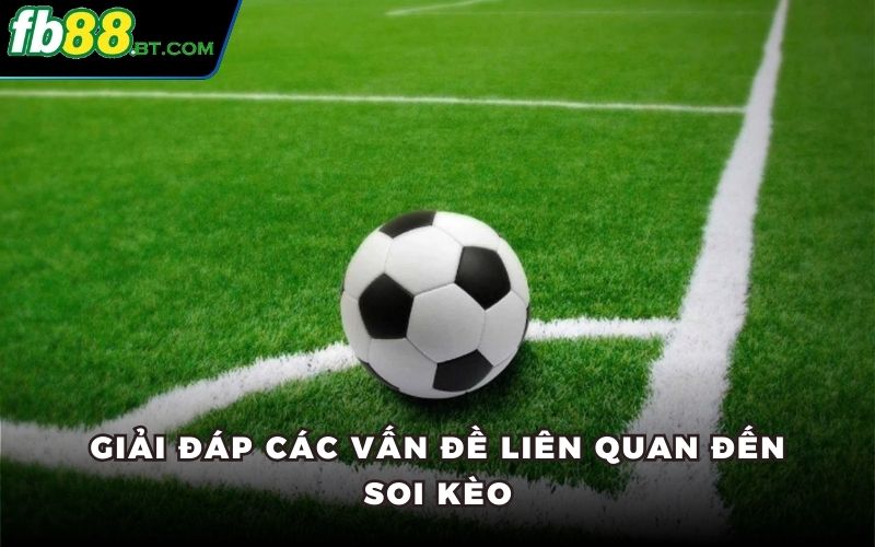 Giải đáp các vấn đề liên quan đến soi kèo