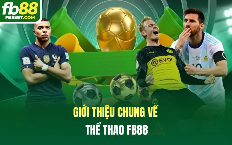 Giới thiệu chung về thể thao Fb88