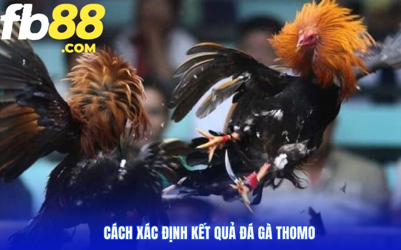 Phân định kết quả thắng thua đơn giản