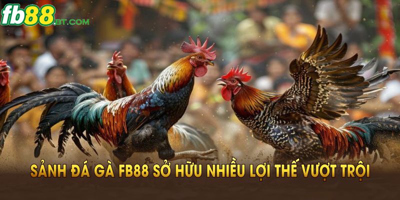 Sảnh đá gà Fb88 sở hữu nhiều lợi thế vượt trội nhất