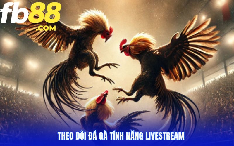 Theo dõi đá gà tính năng livestream