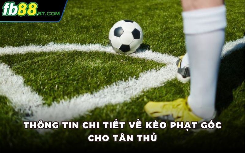 Thông tin chi tiết về kèo phạt góc cho tân thủ