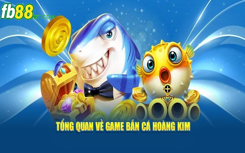 Về bắn cá Hoàng Kim và đôi điều cần biết